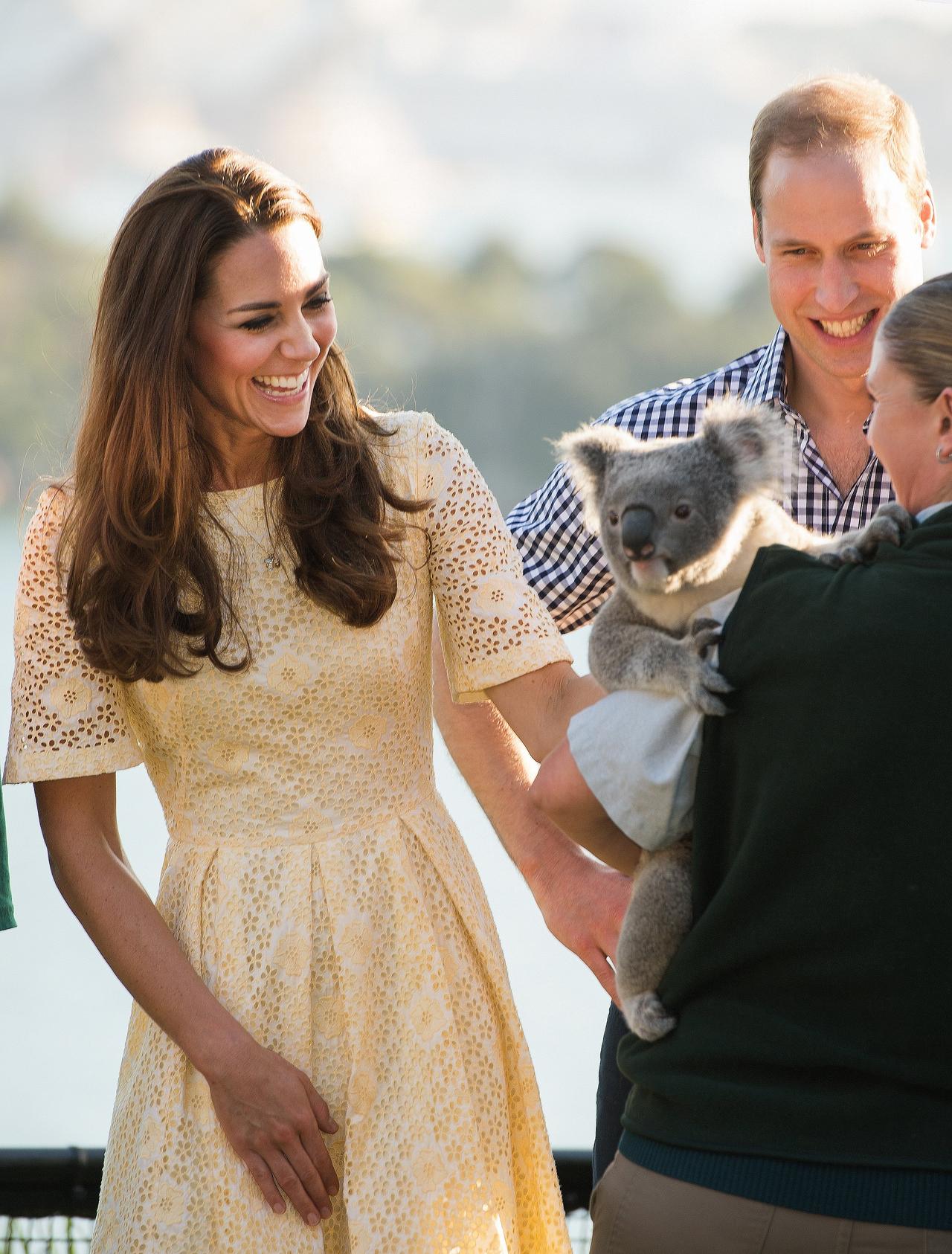 Kate Middleton and Prince William meet a koala