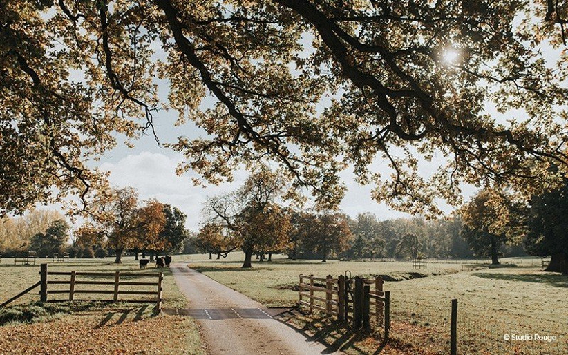 18 Best Woodland Wedding Venues In The Uk Hitched Co Uk