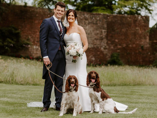 The Ultimate Pet-Lover's Guide to Having Your Dog at Your Wedding