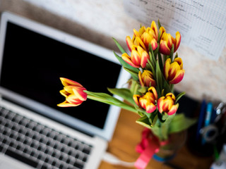 Marketing Strategy Do's and Don'ts