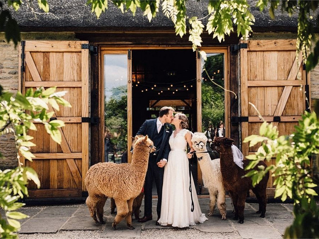 Featured image of post Rustic Ceremony Low Budget Rustic Wedding Decor Diy - Each year when the fall decorations come out, so does my sentimentality, and i can&#039;t help but think about the good ole days.