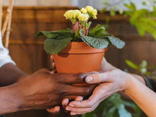 How to Help Your Clients Plan a Sustainable Wedding
