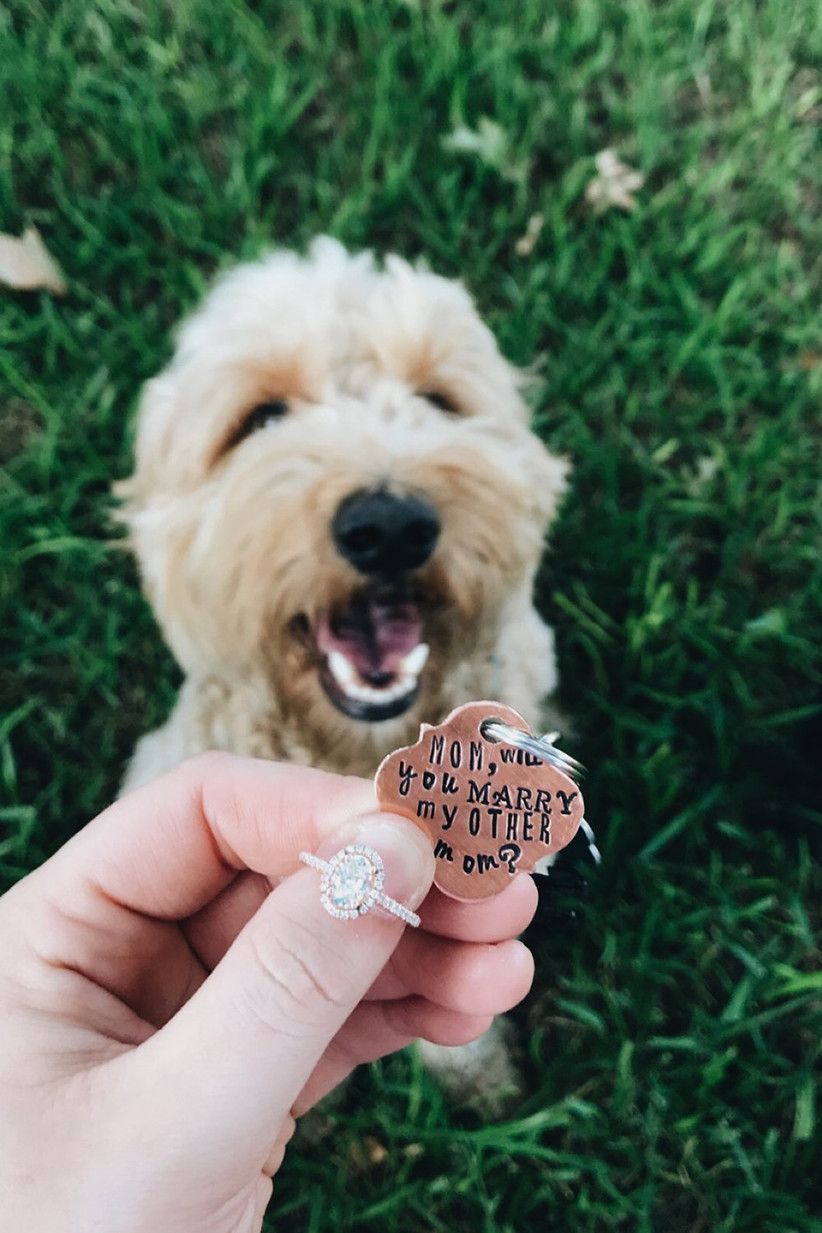 21 Of The Best Engagement Announcement Ideas Hitched Co Uk This is why we gathered the best and most funny wedding. best engagement announcement ideas