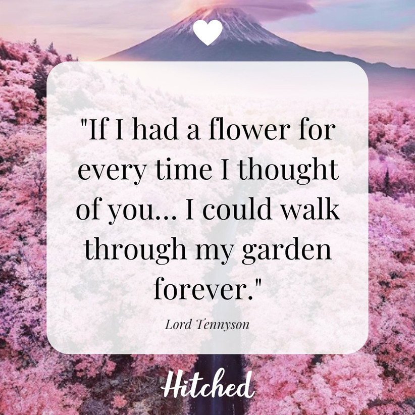 55 of the Most Romantic Quotes to Express Your Love - hitched.co.uk