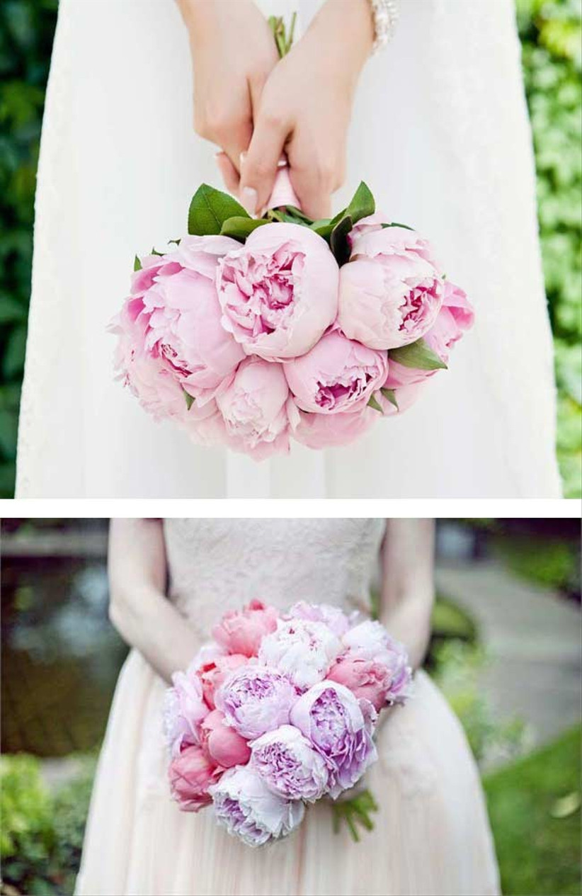 Peony Bouquets Everything You Need To Know Hitched Co Uk