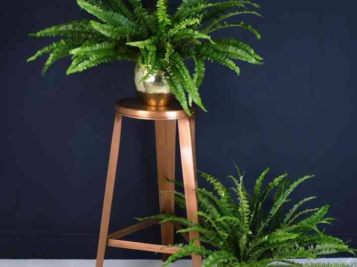 Green Wedding Gift Lists Hitched Co Uk