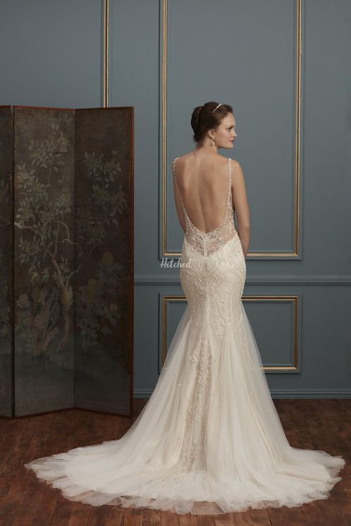 C113 Evangeline, Amare Couture