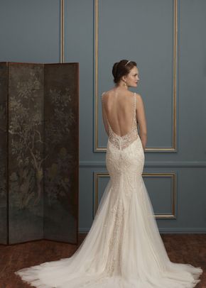 C113 Evangeline, Amare Couture