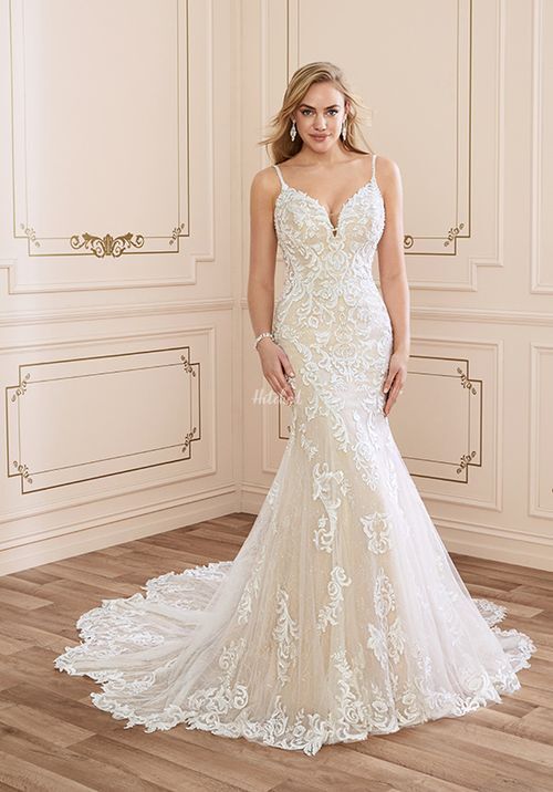 Y22042 Tamara, Sophia Tolli