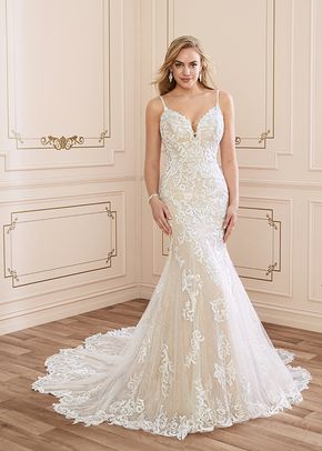 Y22042 Tamara, Sophia Tolli