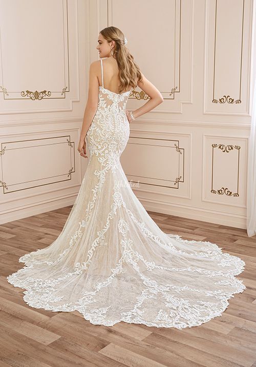 Y22042 Tamara, Sophia Tolli