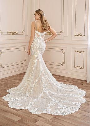 Y22042 Tamara, Sophia Tolli