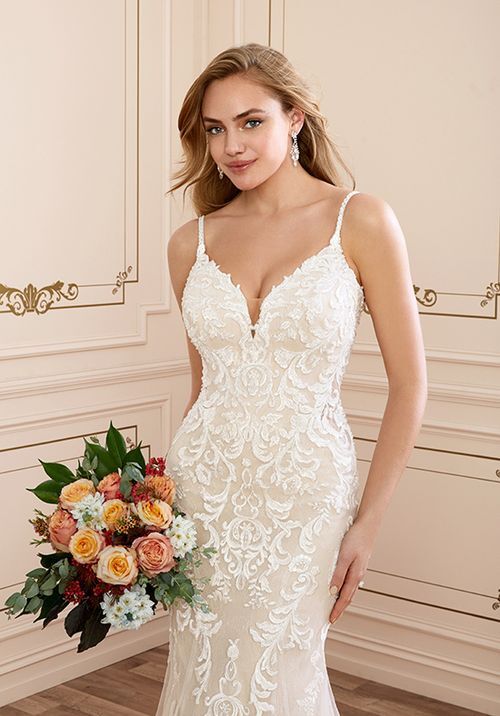 Y22042 Tamara, Sophia Tolli