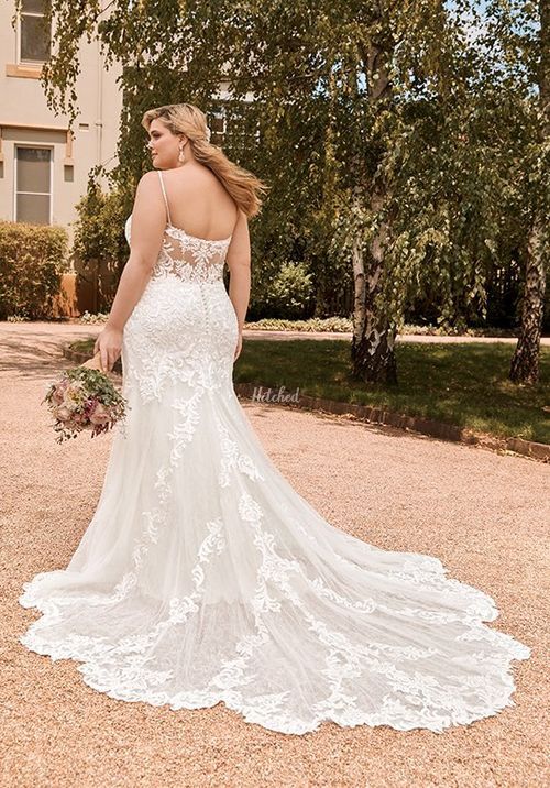 Y22042 Tamara, Sophia Tolli