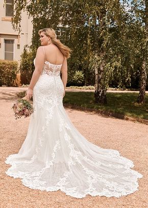 Y22042 Tamara, Sophia Tolli