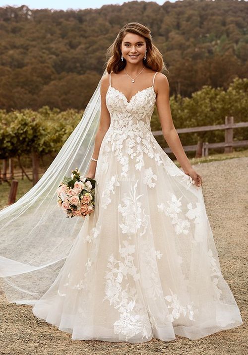 Y22051 Nikita, Sophia Tolli