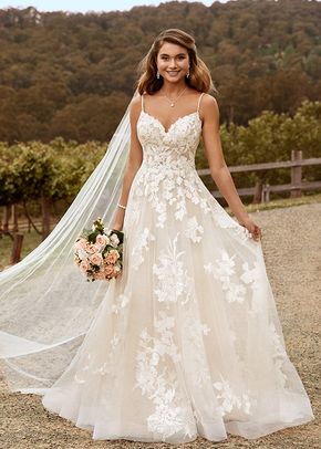 Y22051 Nikita, Sophia Tolli