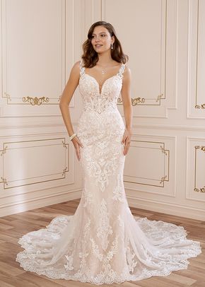 Y22059A Charlotte, Sophia Tolli