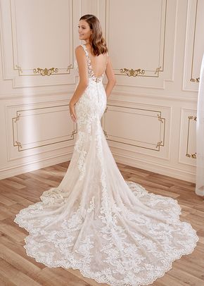 Y22059A Charlotte, Sophia Tolli