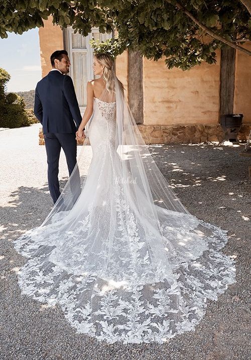 Y22050VEIL, Sophia Tolli