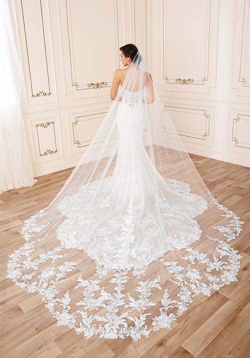 Y22050VEIL, Sophia Tolli