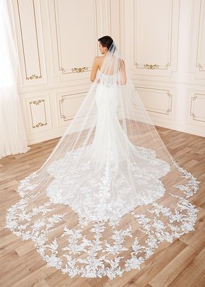 Y22050VEIL, Sophia Tolli