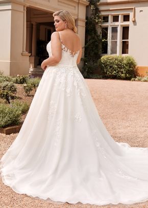 Y22041 Aurora, Sophia Tolli