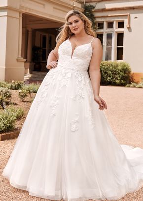 Y22041 Aurora, Sophia Tolli