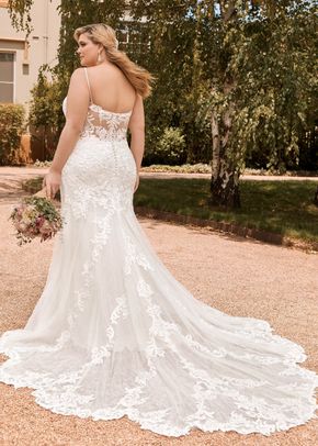 Y22042 Tamara, Sophia Tolli