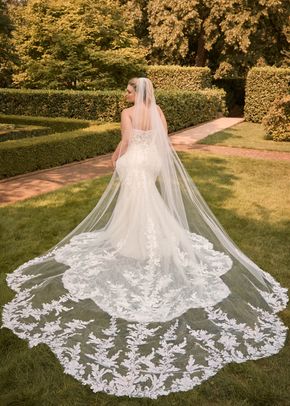 Y22050VEIL, Sophia Tolli