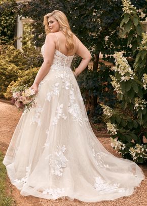 Y22051 Nikita, Sophia Tolli