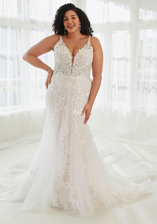 JACKSON | STYLE Y3109HB, Sophia Tolli