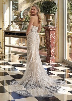 Style 1234, Demetrios