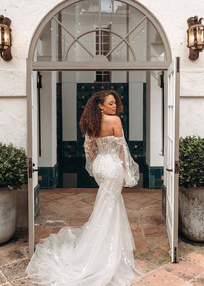 SY8160, Stella York