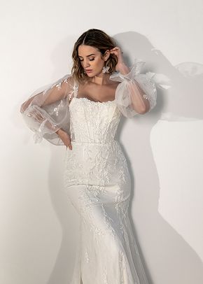SY8160, Stella York