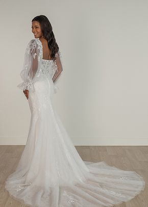 SY8160, Stella York