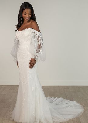 SY8160, Stella York