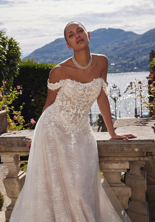 Katerina, Justin Alexander