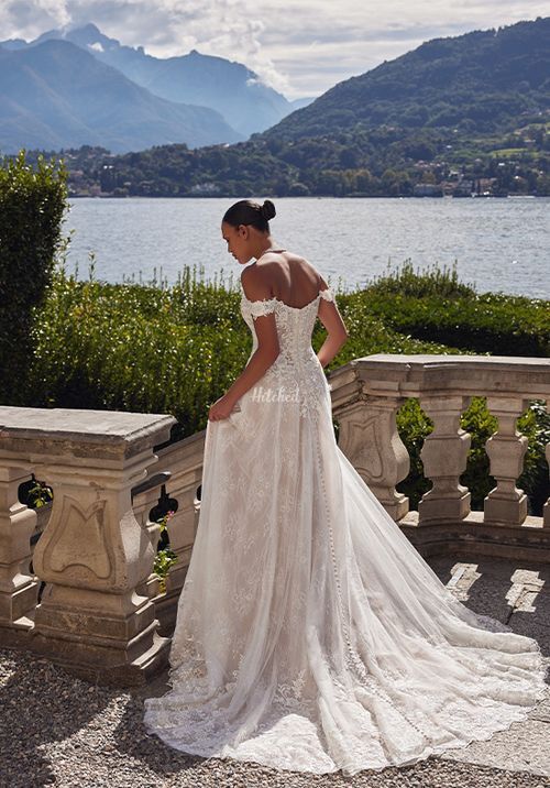 Katerina, Justin Alexander