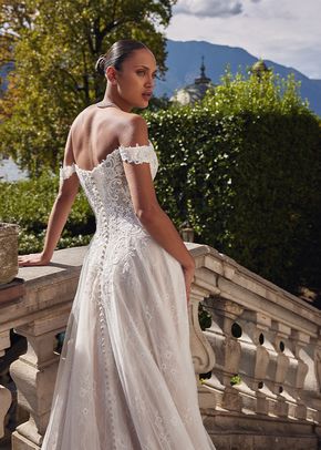 Katerina, Justin Alexander