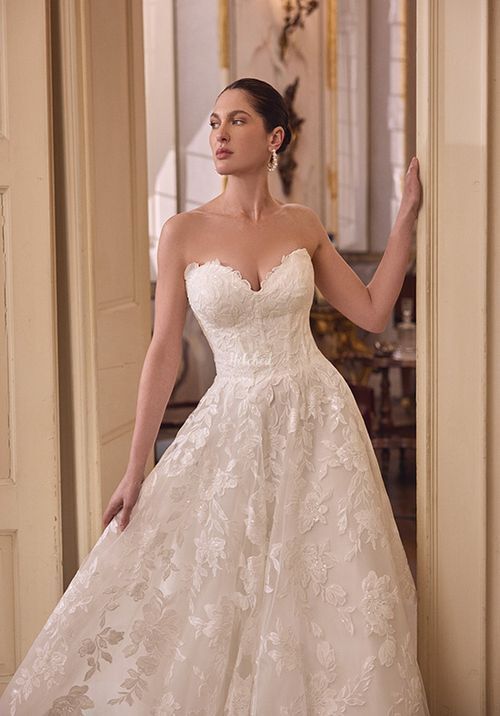 Lacie, Justin Alexander