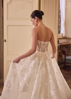 Lacie, Justin Alexander