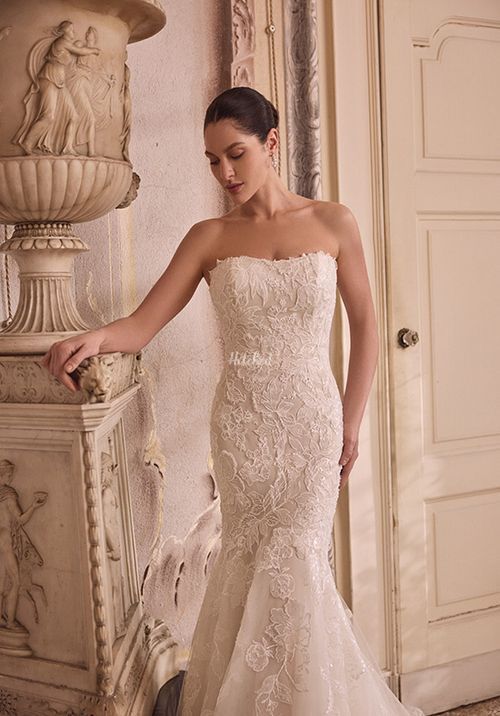 Lorenna, Justin Alexander