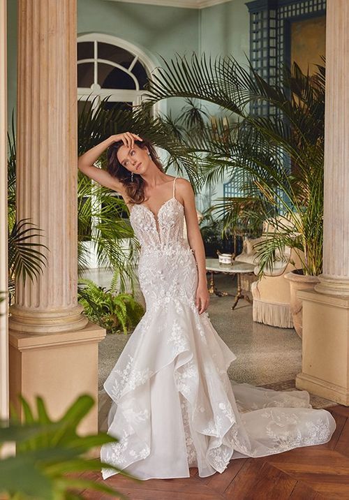 Marjorie, Justin Alexander