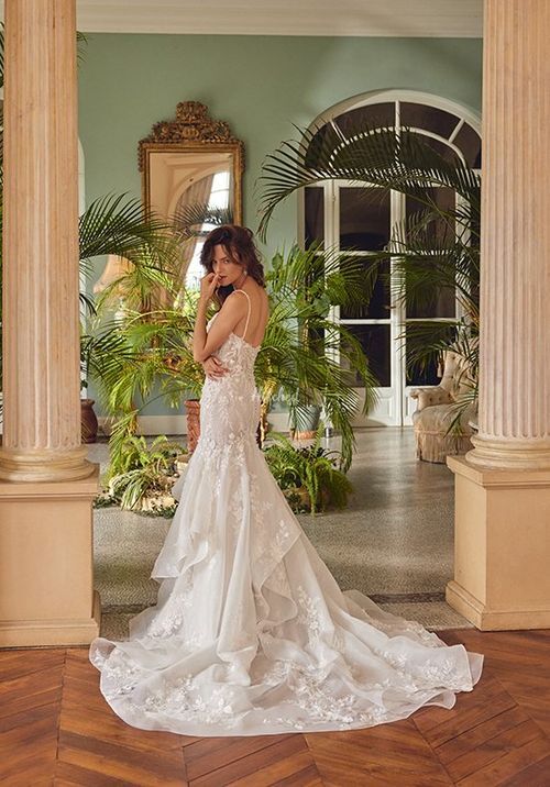 Marjorie, Justin Alexander
