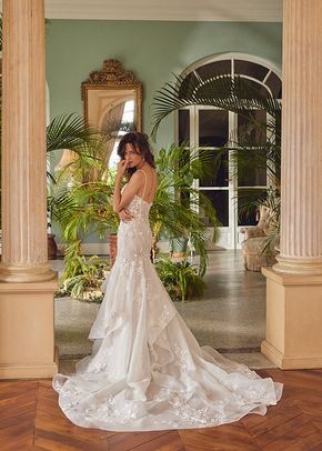 Marjorie, Justin Alexander