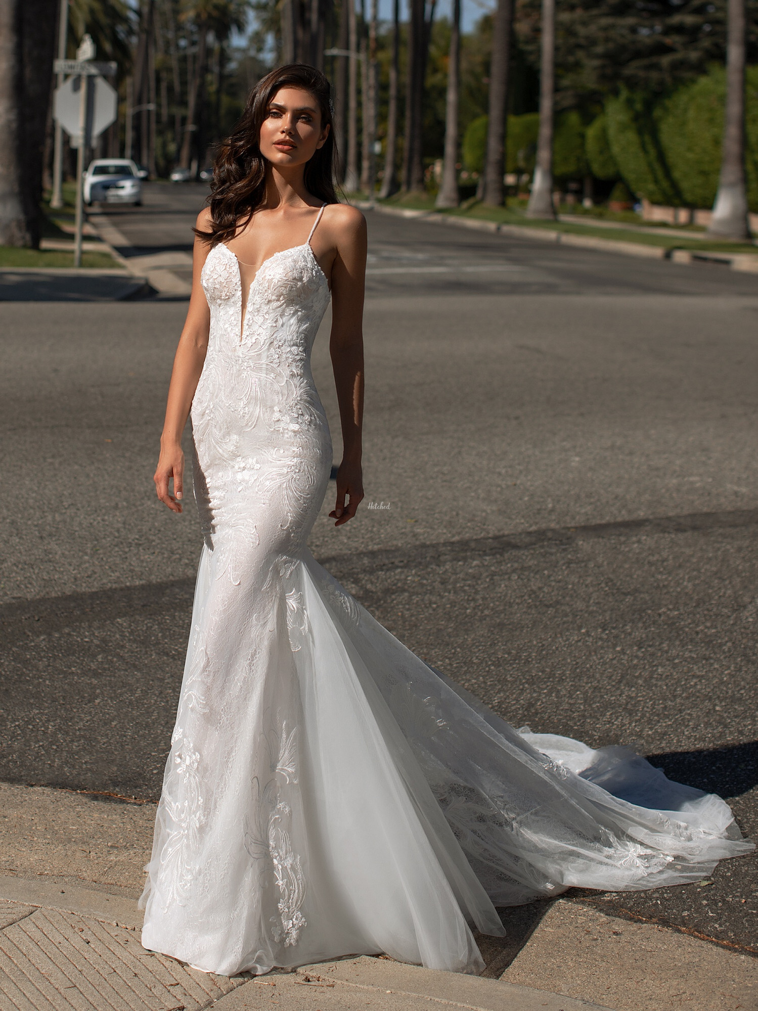 Pronovias Backless Wedding Dress