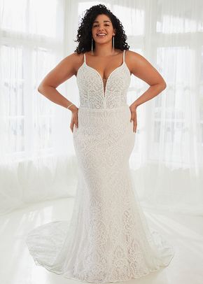 HARVEY | STYLE Y3111 PLUS, Sophia Tolli