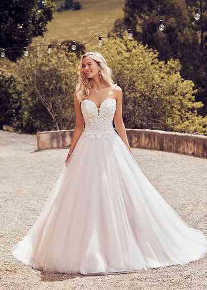 sophia tolli y22042