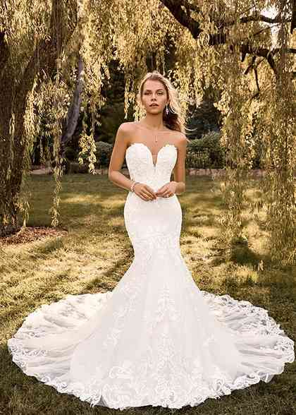 sophia tolli celestina